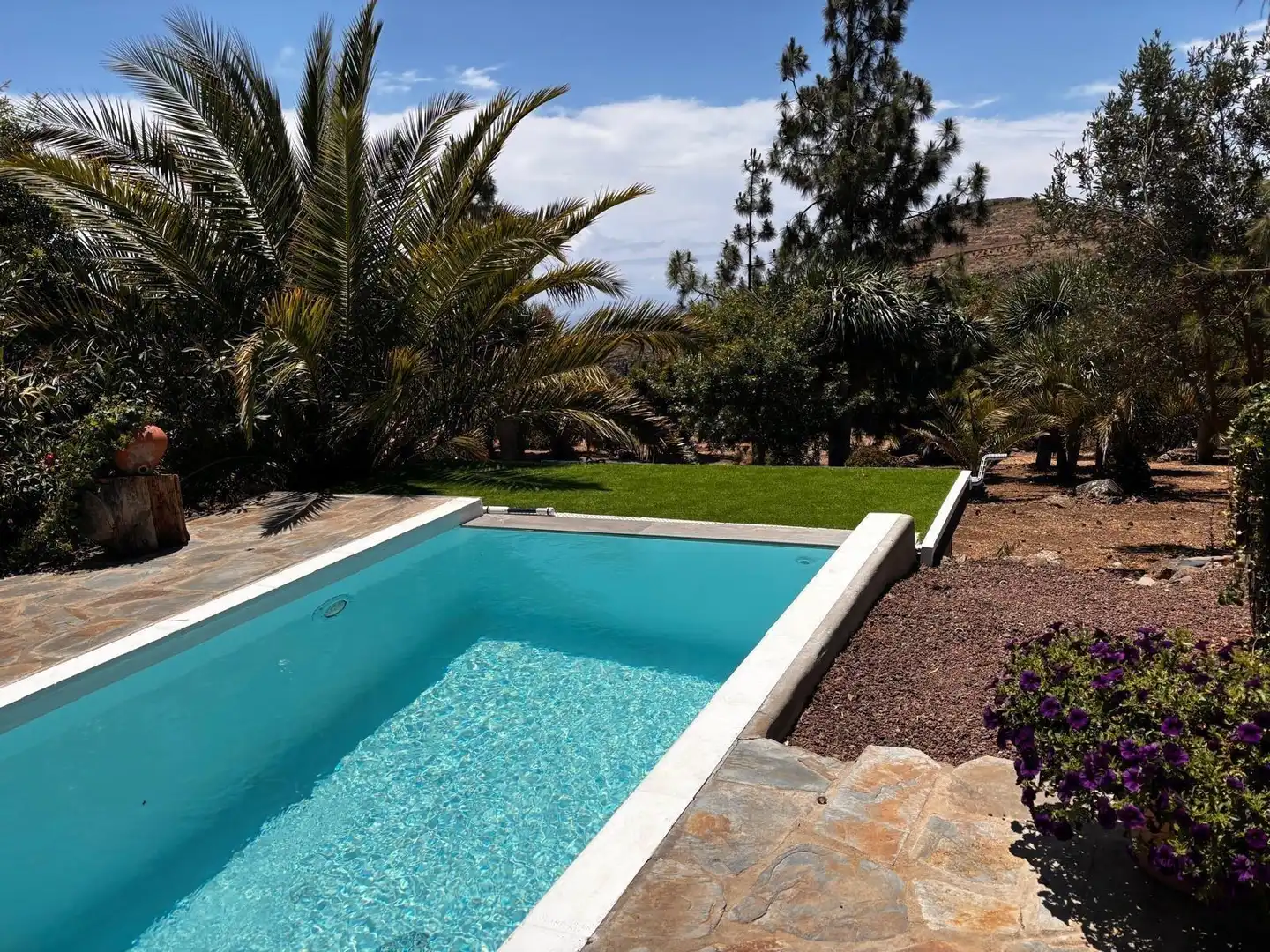 Piscina de Finca rústica en venta en Telde con Aire acondicionado, Calefacción y Jardín privado