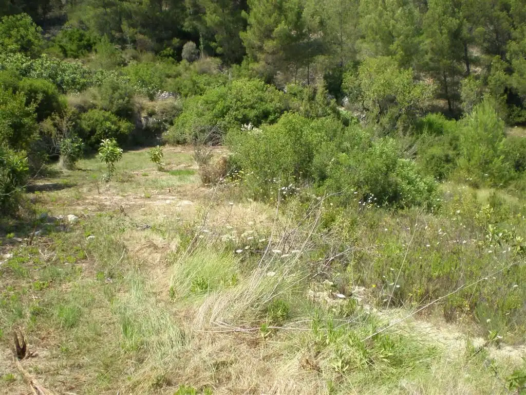 Terreno en venta en Callosa d'en Sarrià