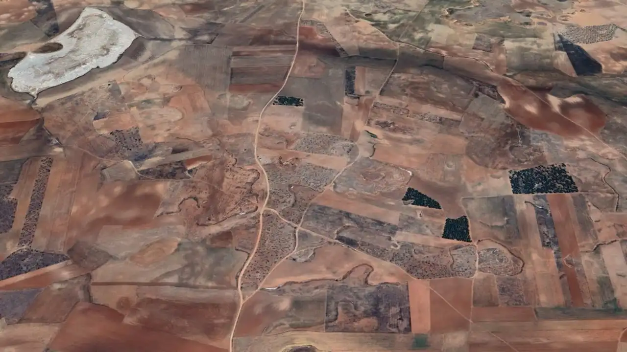 Terreny rústic en venda a Pt Mondrago, imagen 3