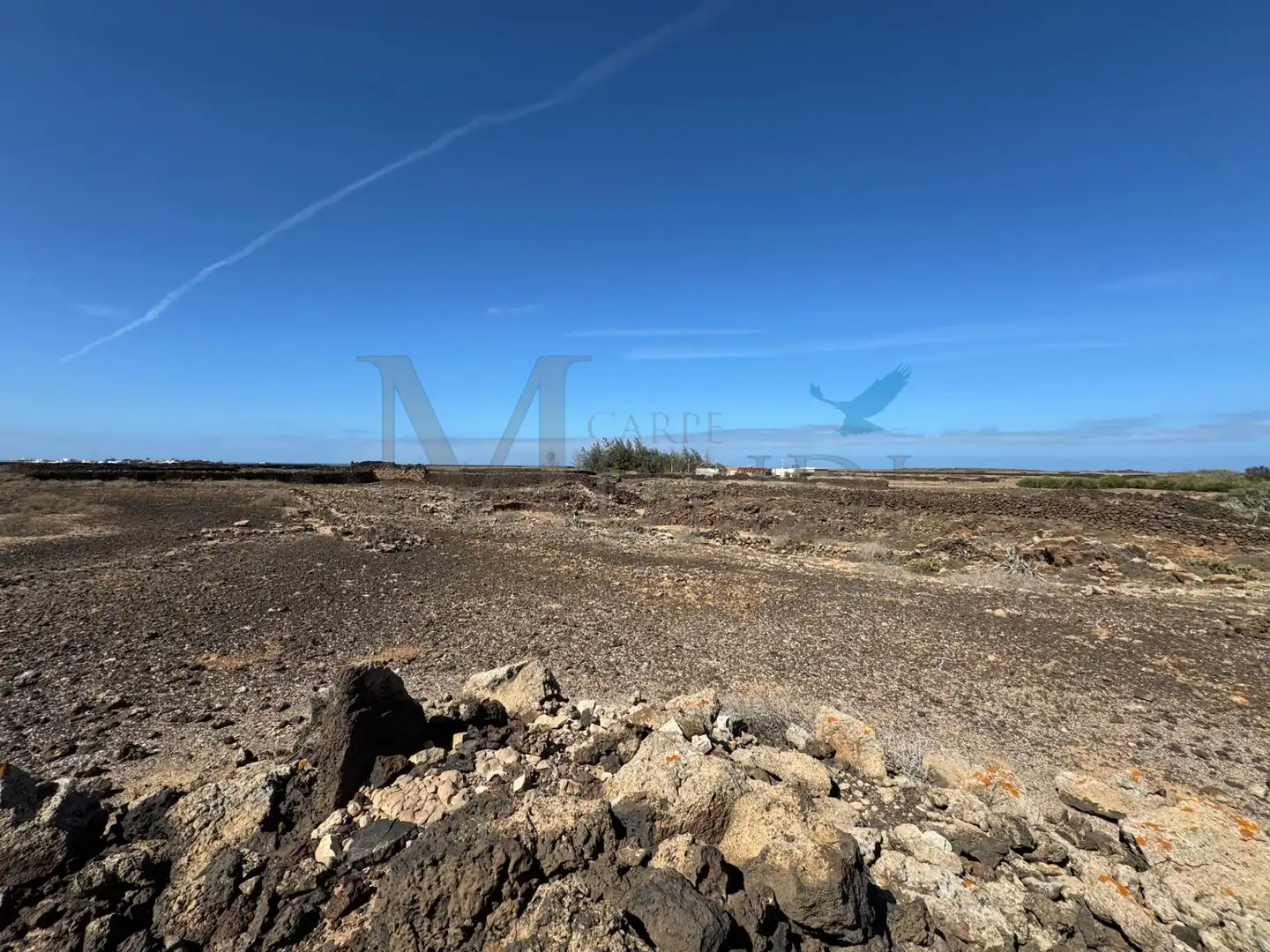 Land for sale in La Oliva