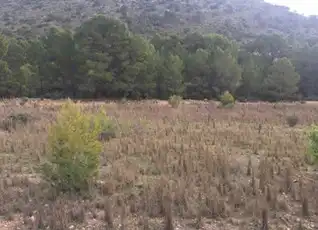 Terreni e lotti in vendita a Hellín, imagen 3