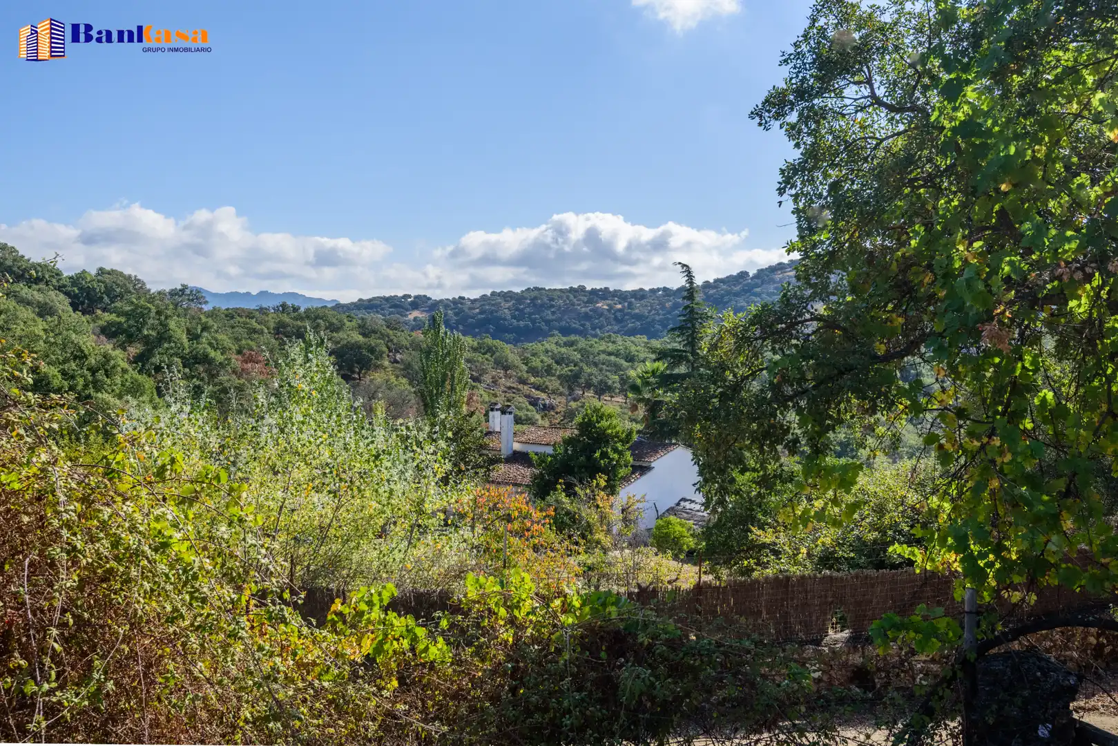 Vista exterior de Casa o xalet en venda en Cortes de la Frontera amb Calefacció, Jardí privat i Moblat