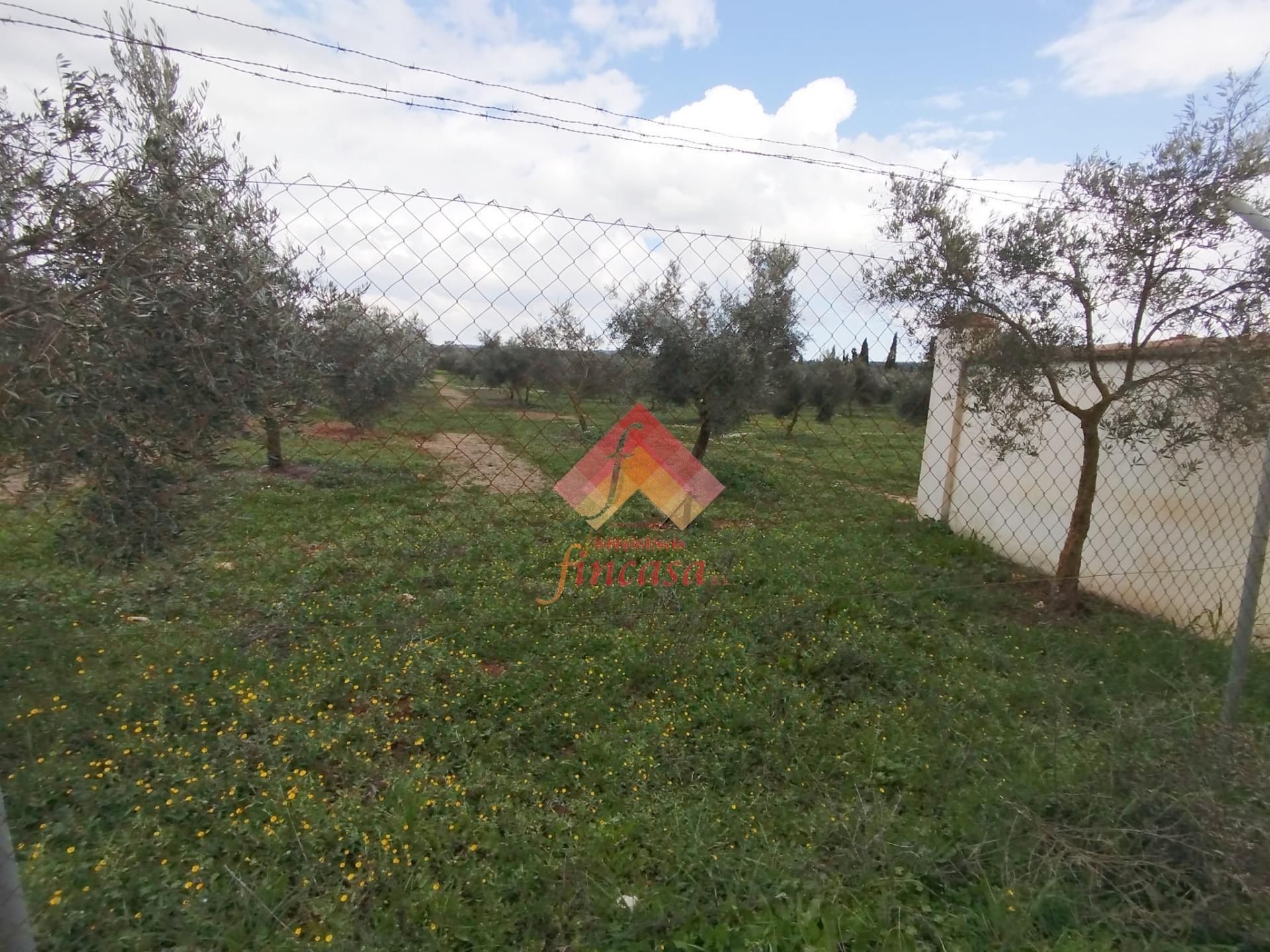 Finca rústica en venda en Ronda