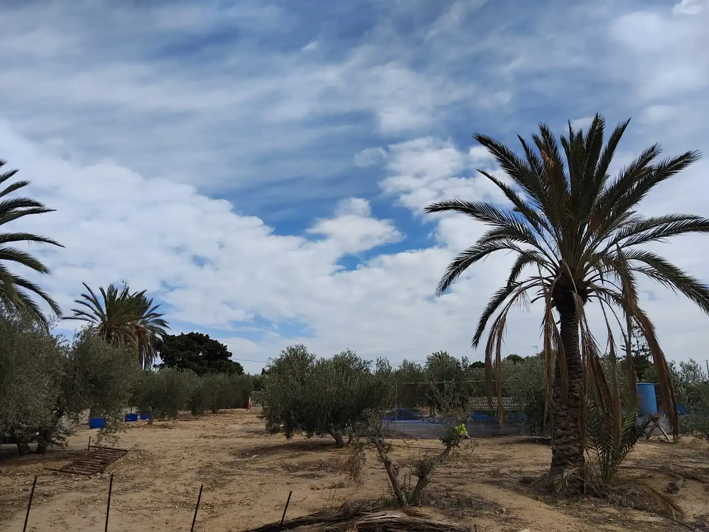 Casa con jardín en venta en Camí del Cementeri 2003A, imagen 20