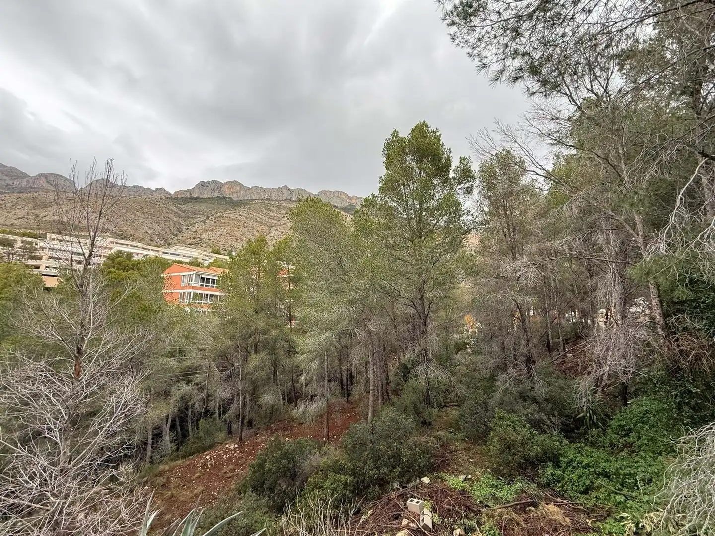Terreny residencial en venda a Erica, imagen 10