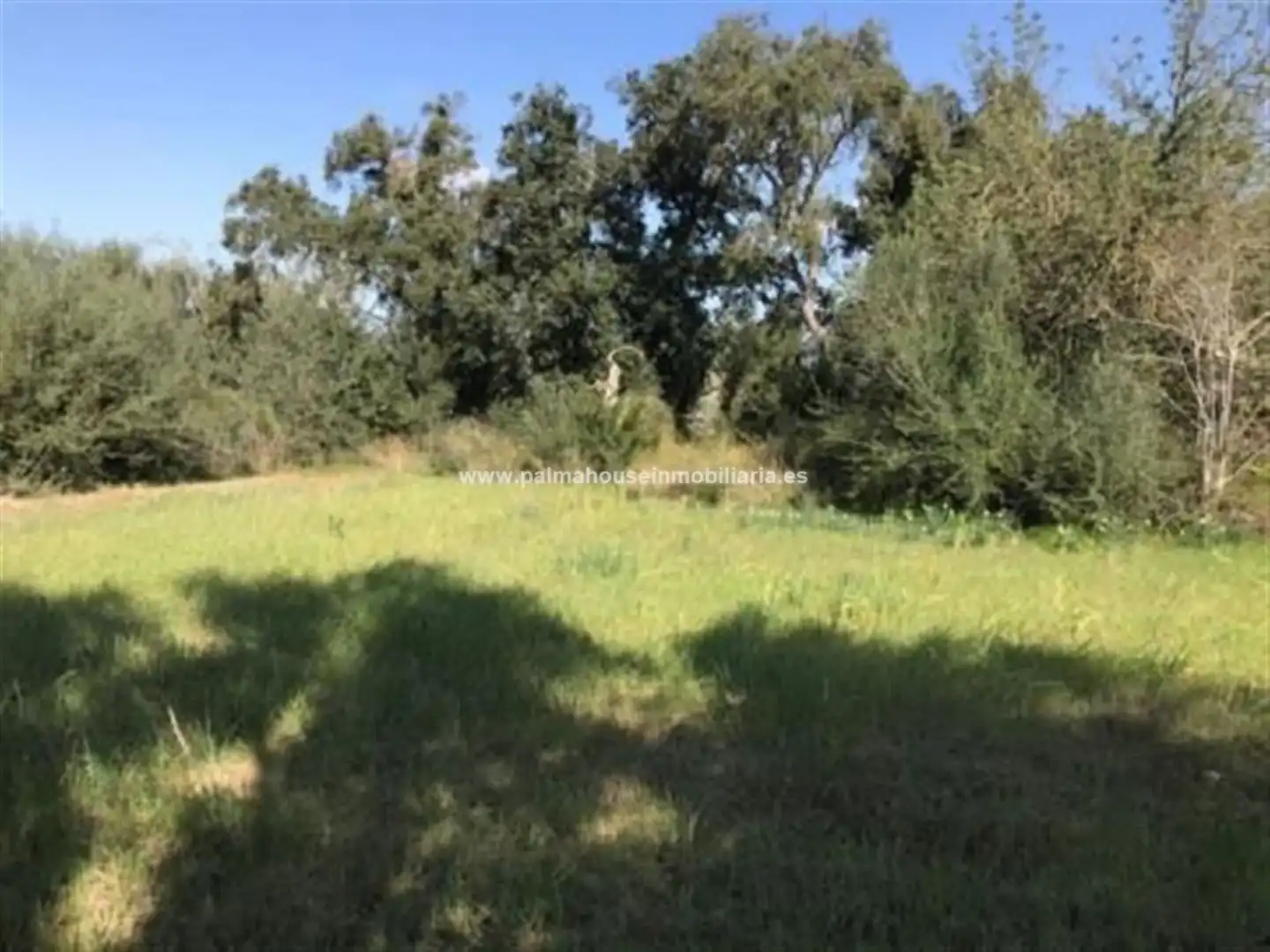 Wohnbaugrundstück zum Verkauf in Llubí, imagen 11