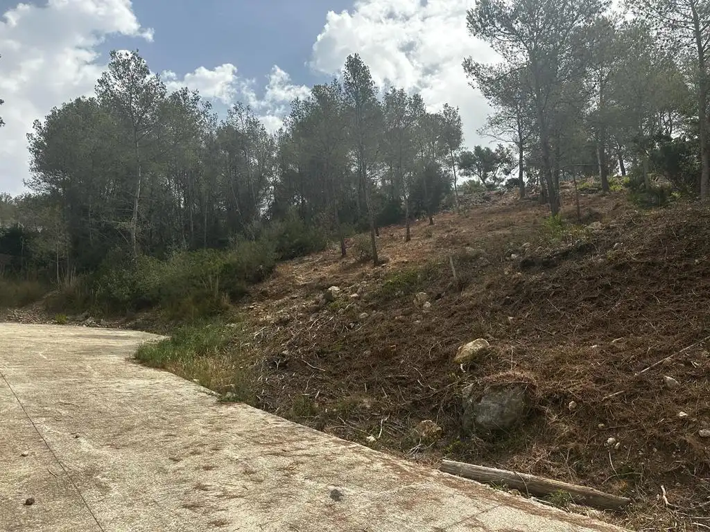 Terreny residencial en venda a Olivella, imagen 7