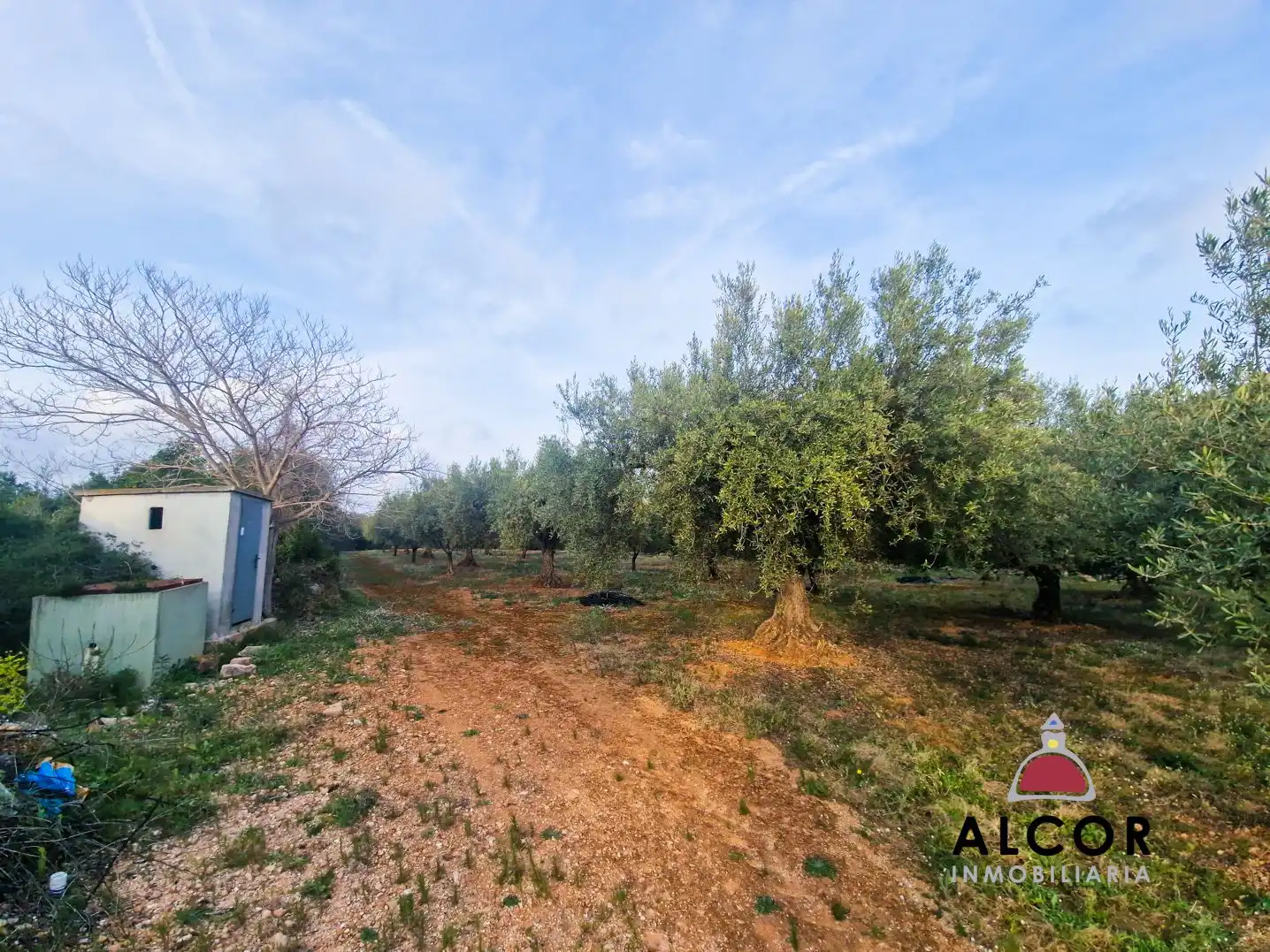 Maison rustique à vendre à 15, imagen 2