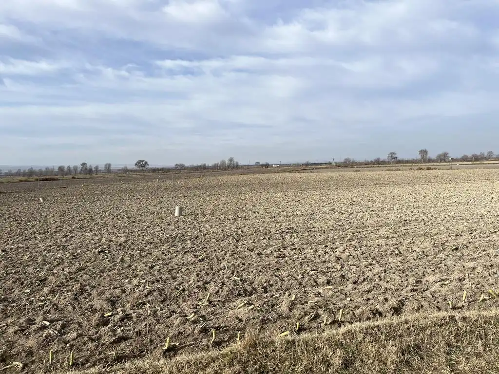 Terreno rustico in vendita a San Pedro, imagen 5