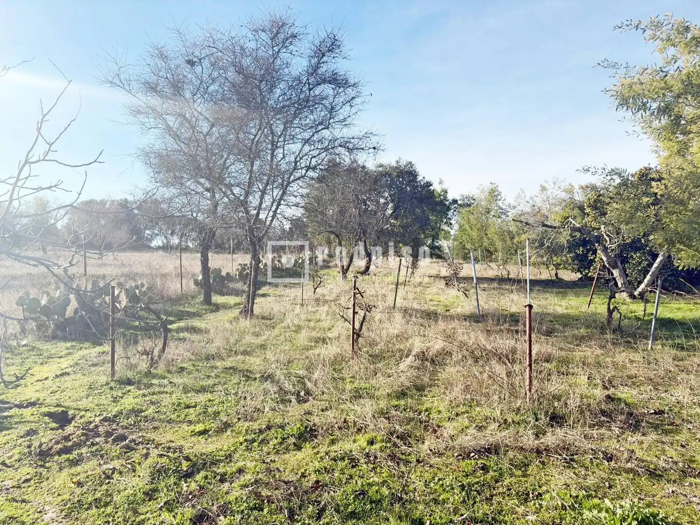 Casa amb jardí en venda a Diseminados, imagen 28