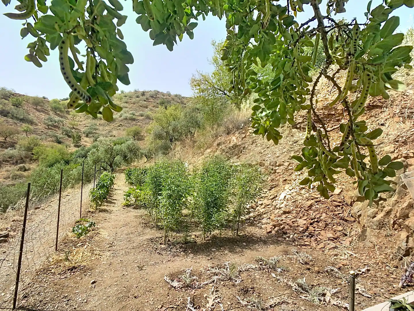 Houses for sale in Málaga  with Storage room