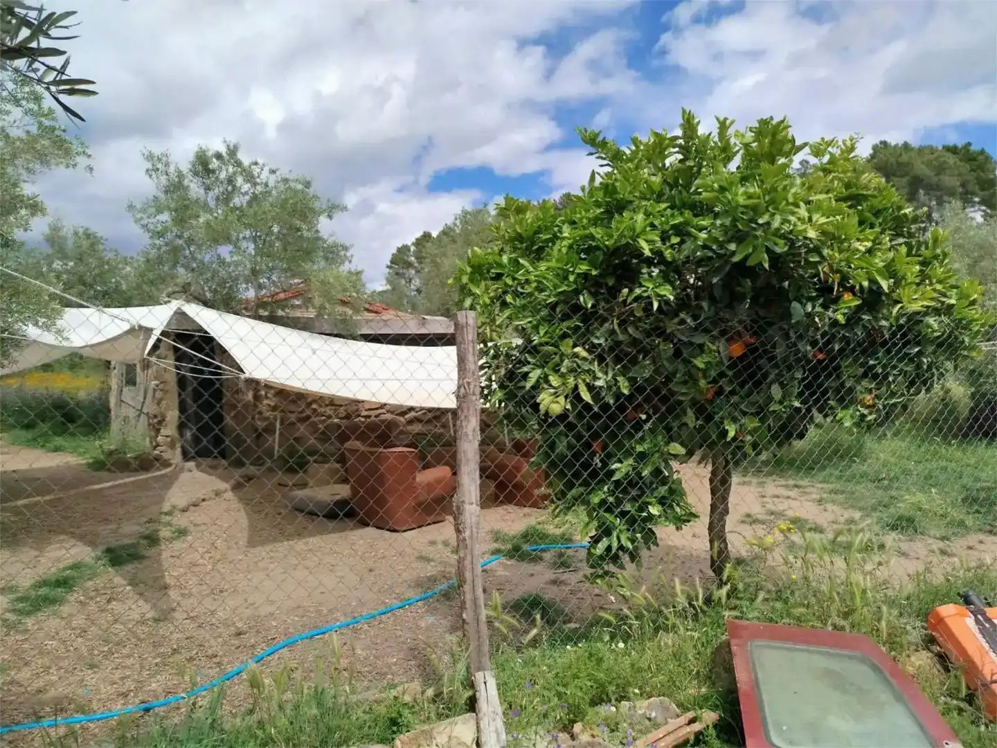 Land for sale in Torre de Don Miguel