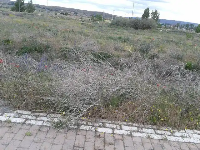 Terreni e lotti in vendita a CAMINO DE LOS CHOPOS, 44 44, imagen 16