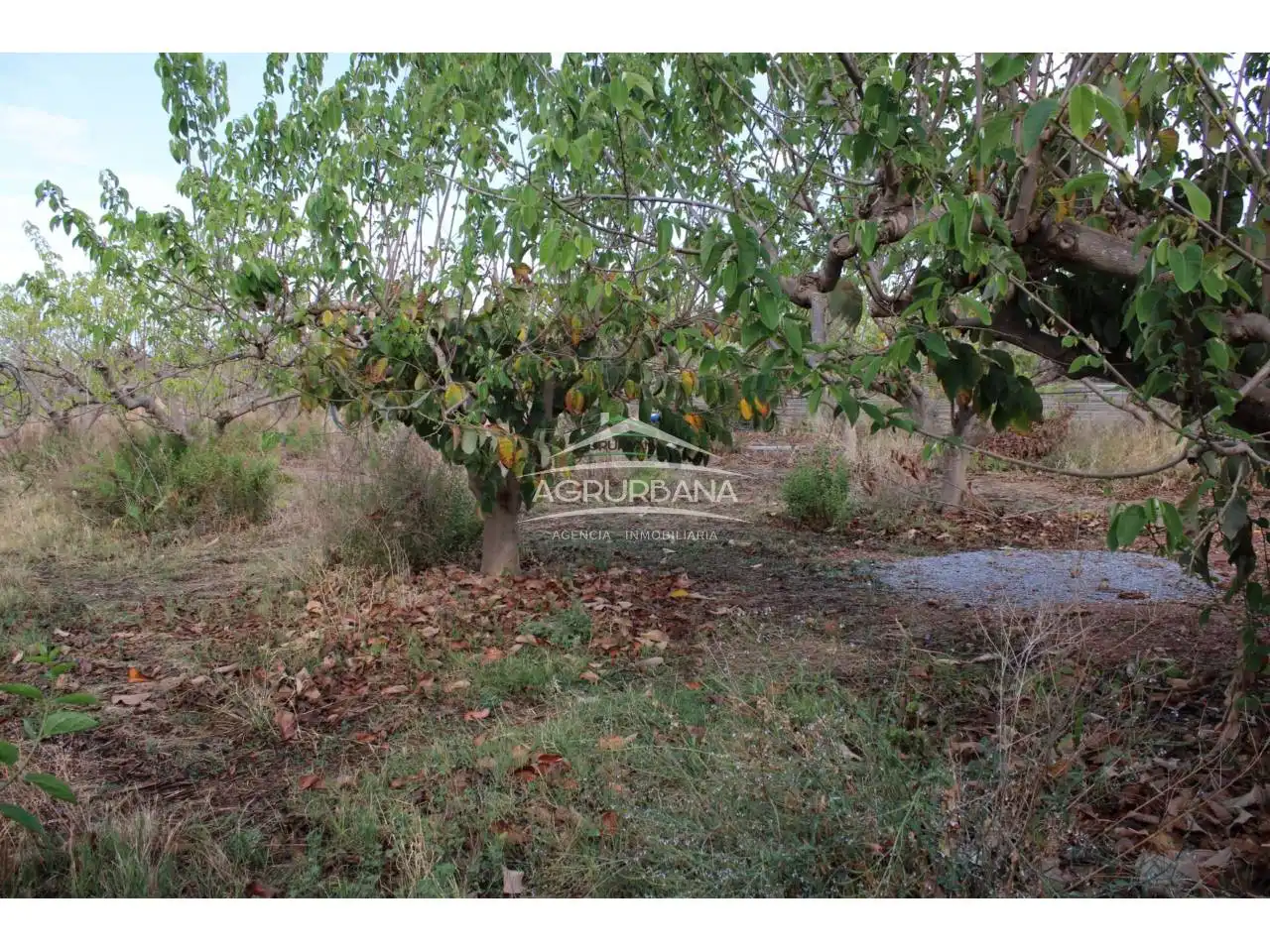 Finca rústica en venta en Motril con Terraza y Piscina