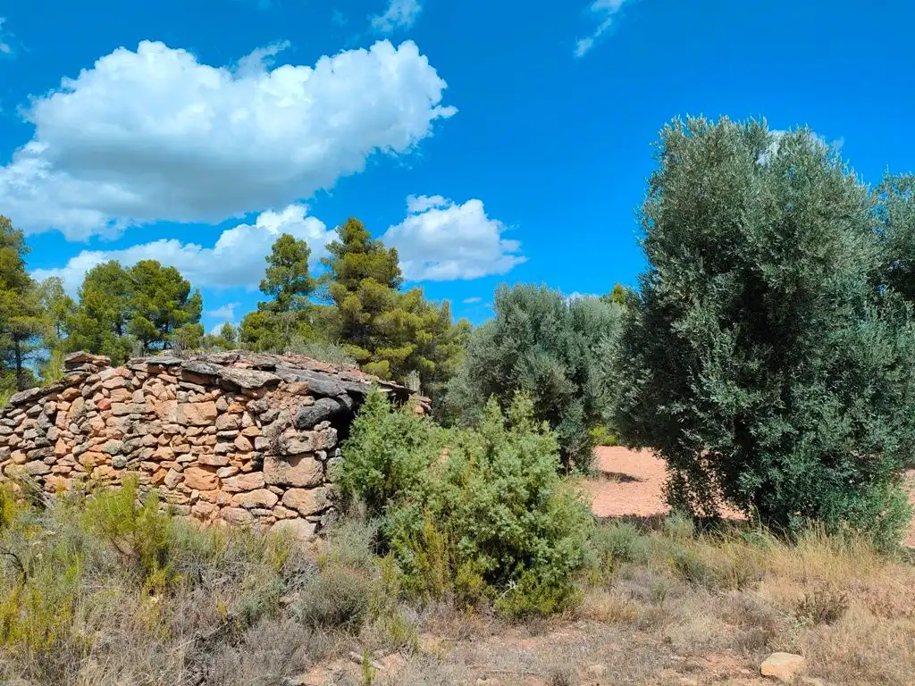 Grundstücke zum Verkauf in Belmonte de San José