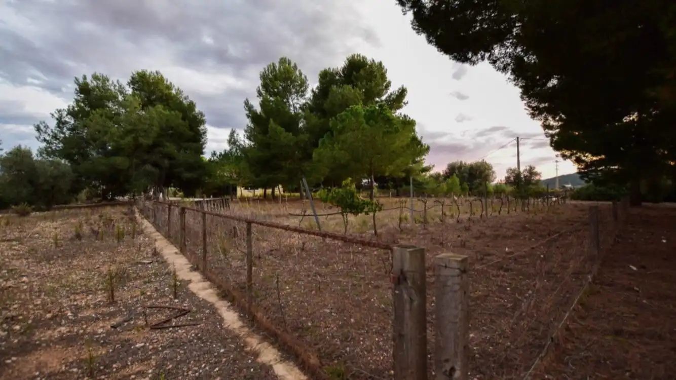 Chalet con piscina en venta en Banyeres del Penedès, imagen 38