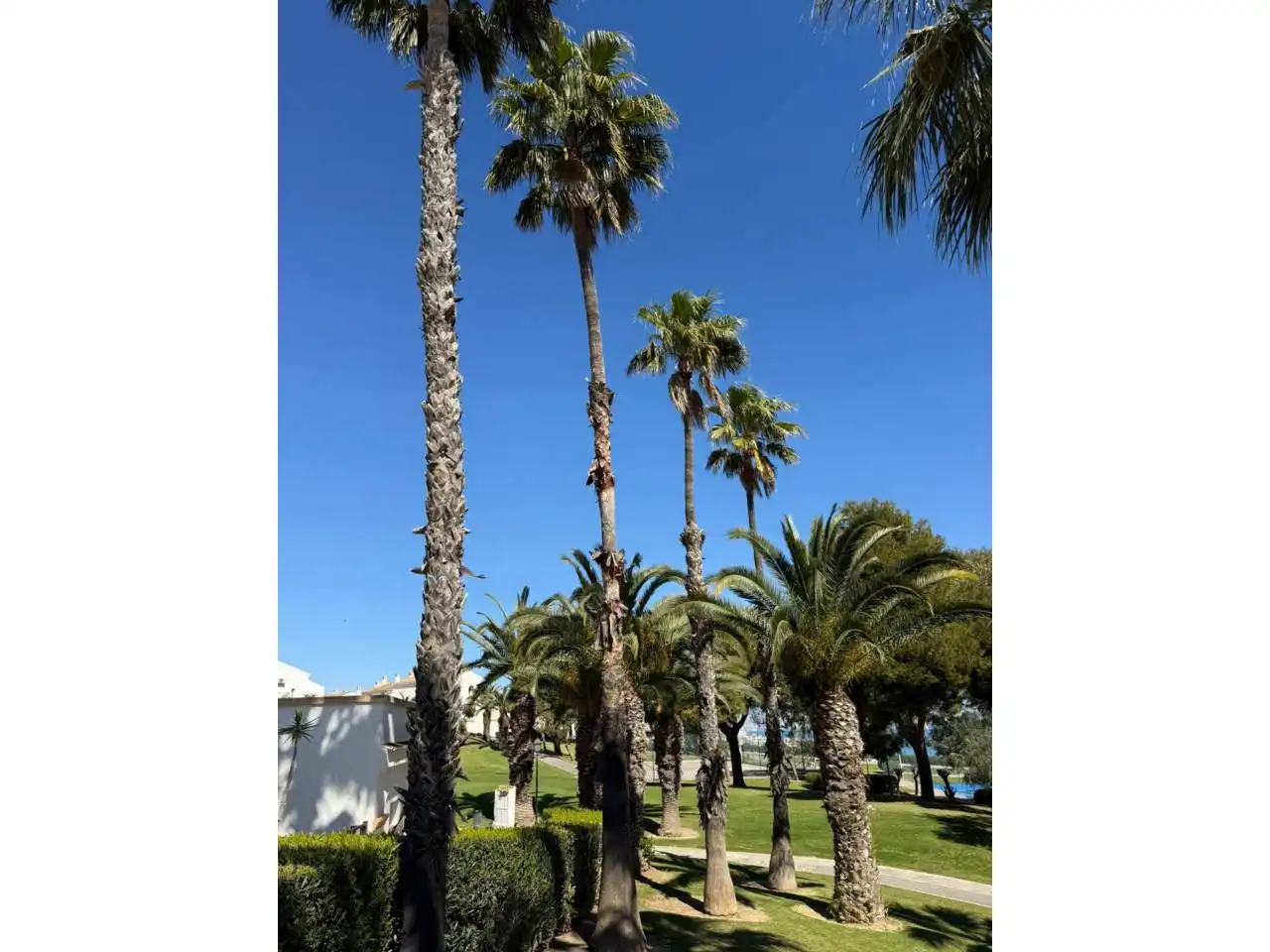 Außenansicht von Wohnung zum Verkauf in Santa Pola mit Klimaanlage, Terrasse und Gemeinschaftspool