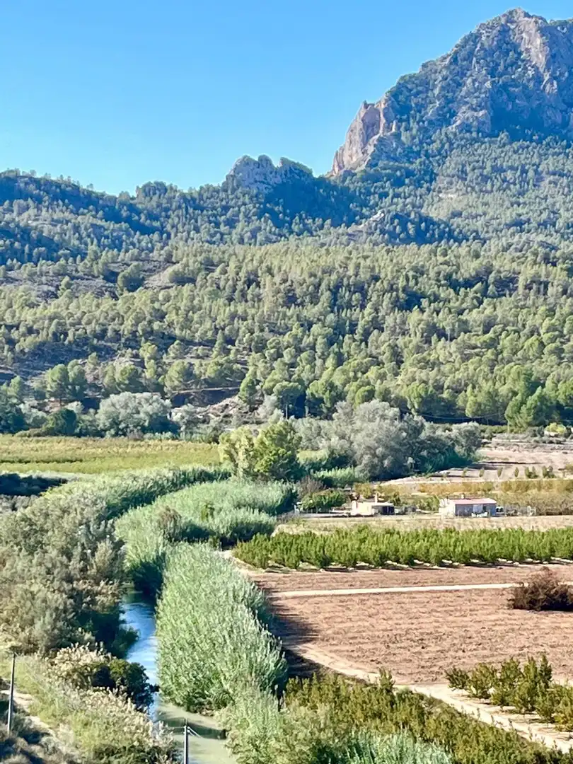 Casa o chalet en venta en Cieza con Calefacción, Jardín privado y Trastero