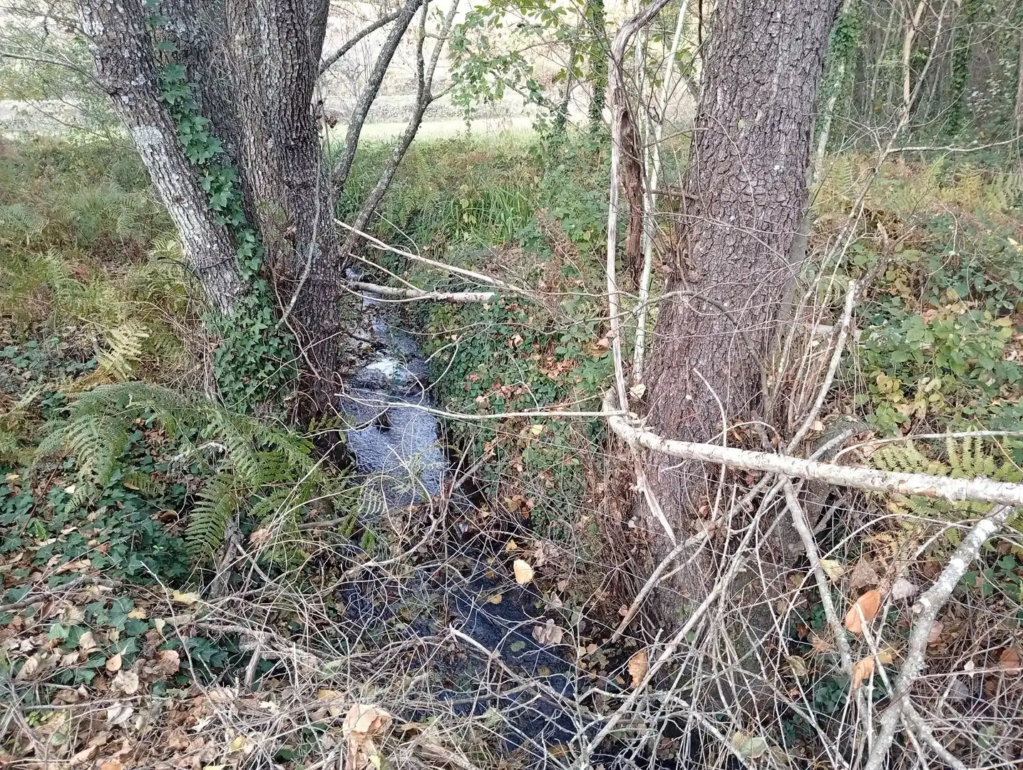 Terreni e lotti in vendita a Viandar de la Vera, imagen 12