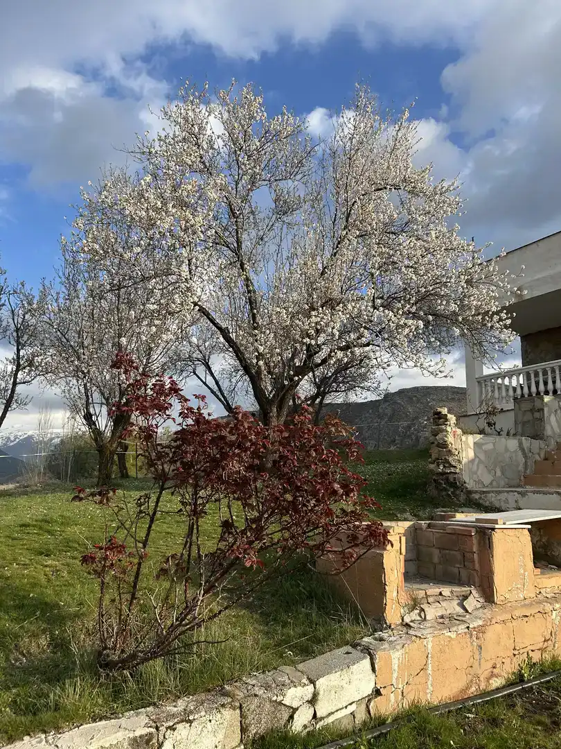 Jardí de Casa o xalet en venda en Monachil