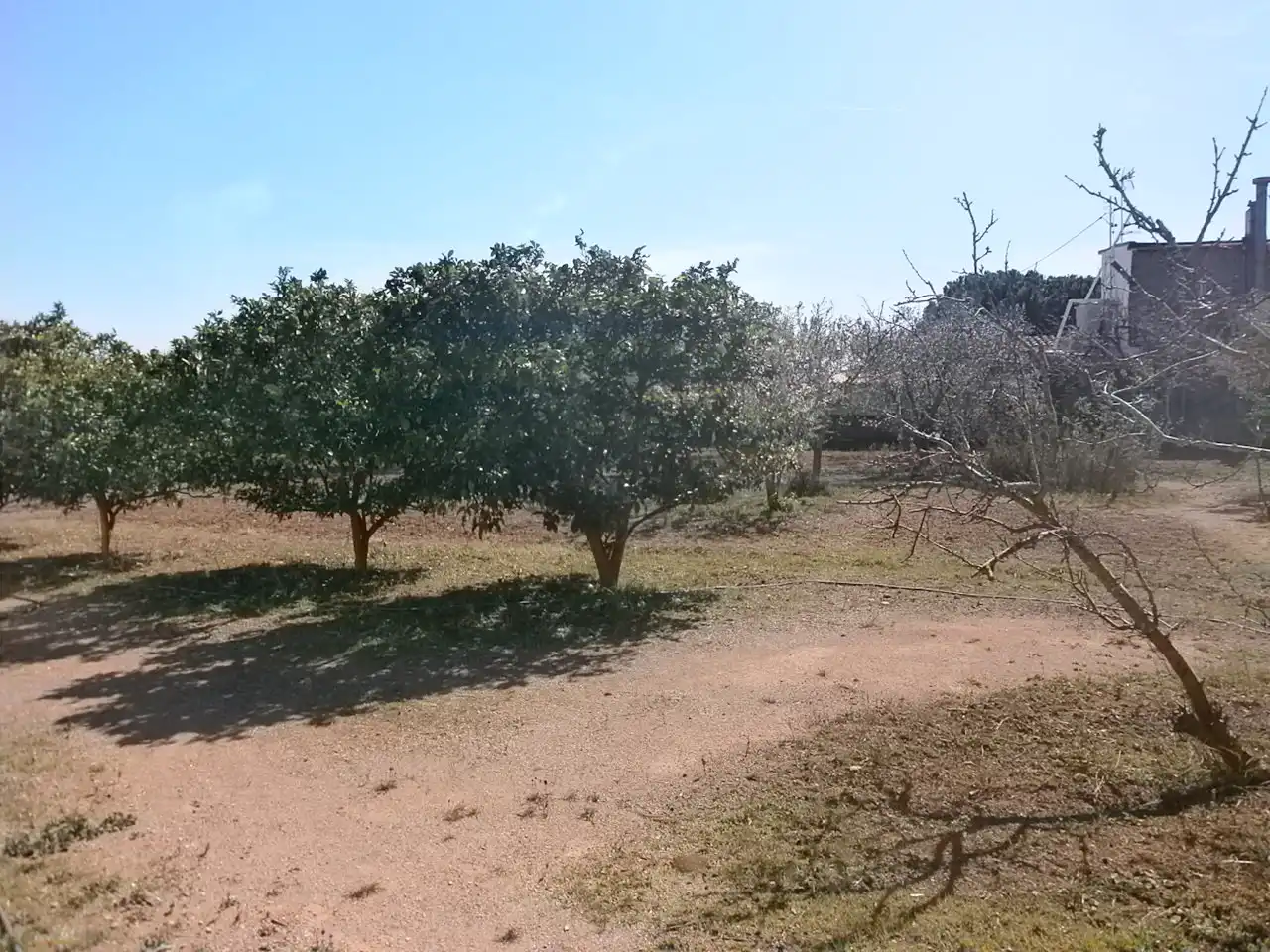 Rustikales Grundstück zum Verkauf in Llevant, imagen 14