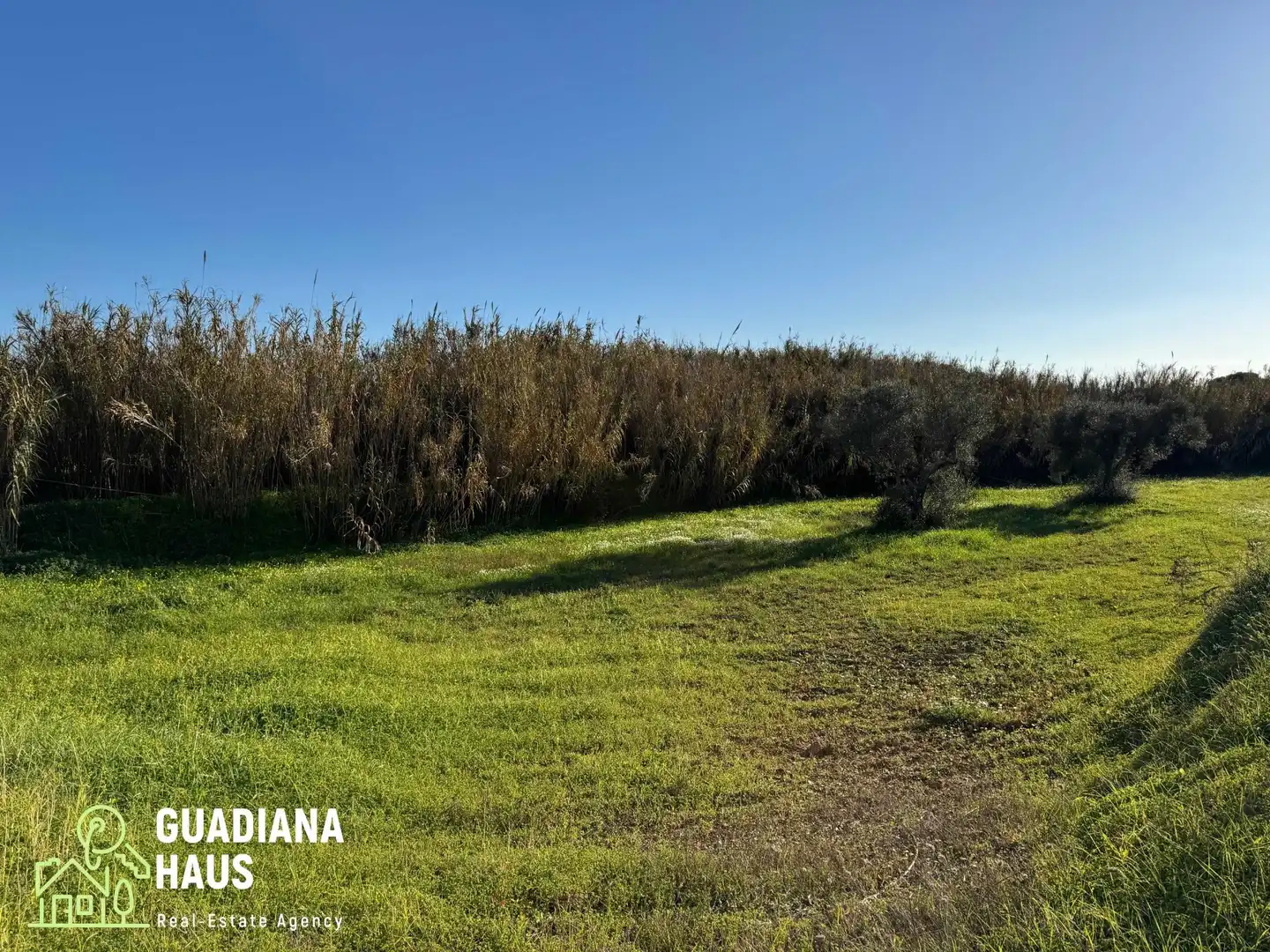 Finca rústica en venda en Villablanca