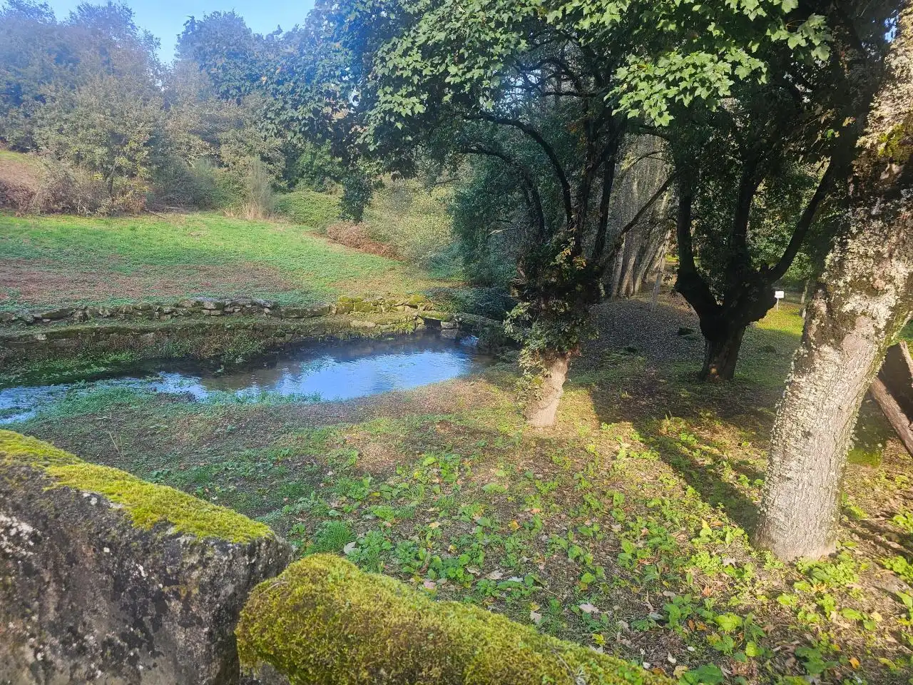 Casa o xalet en venda en Esgos amb Jardí privat
