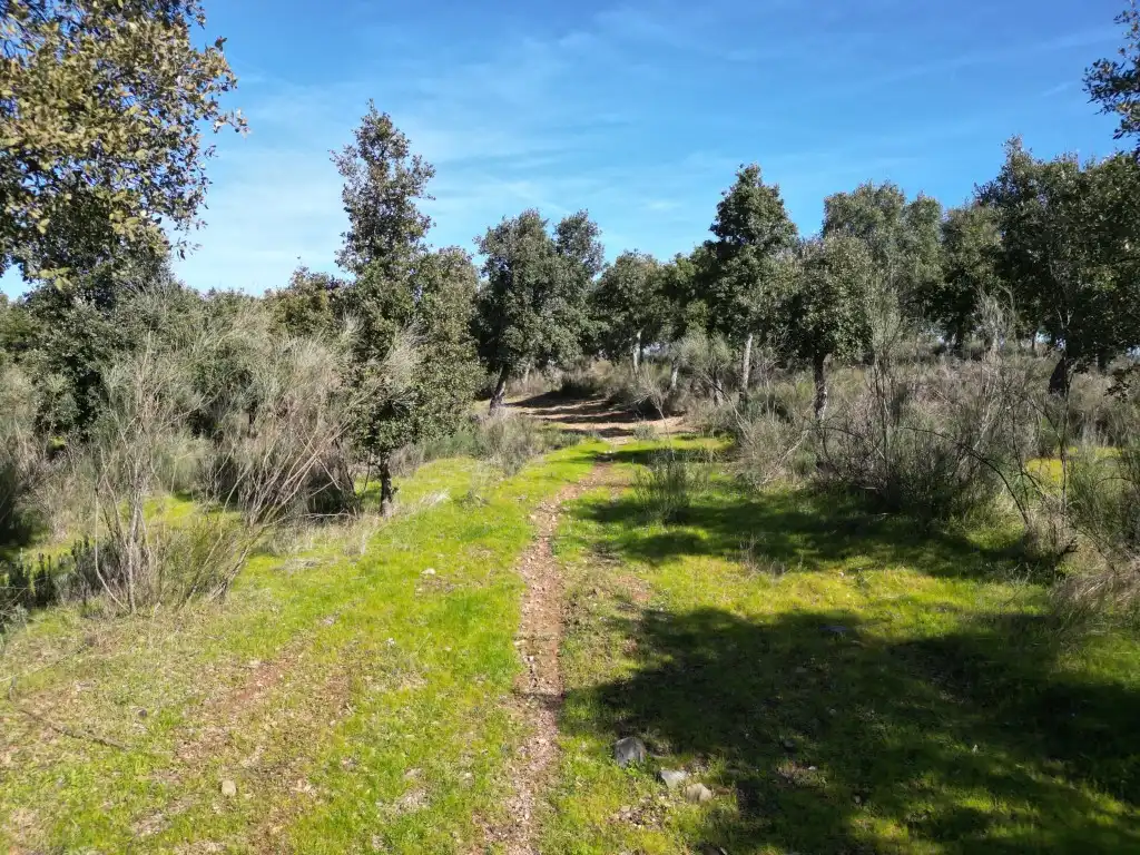 Terreni e lotti in vendita a Poligono 63 Parcela, imagen 4