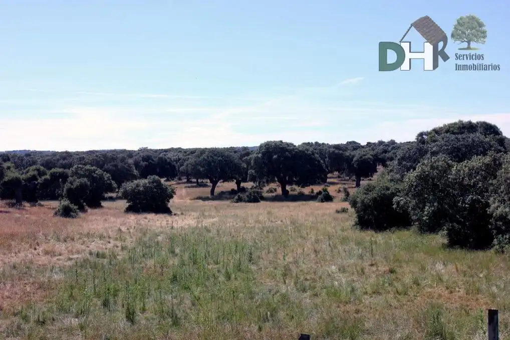 Terrenys i solars en venda a San Bernardo - Carmelitas - Campus, imagen 6