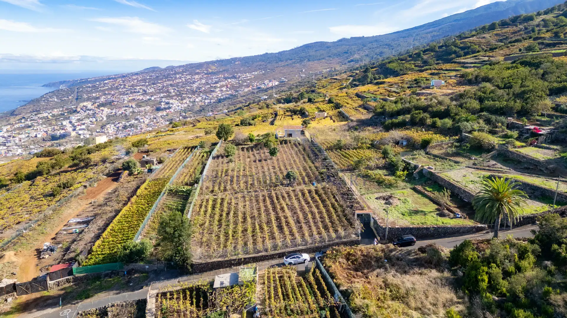 Finca rústica en venda en Santa Úrsula amb Terrassa