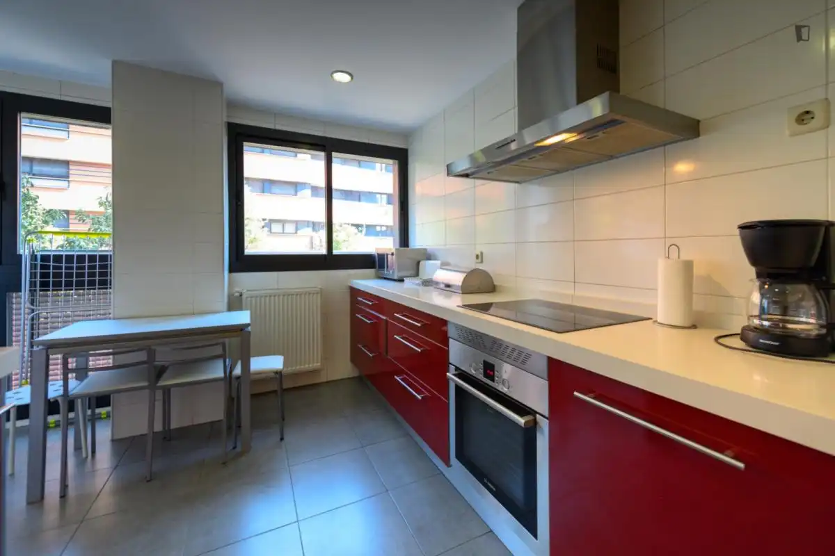 Cuina de Apartament de lloguer en Madrid amb Calefacció, Moblat i Forn