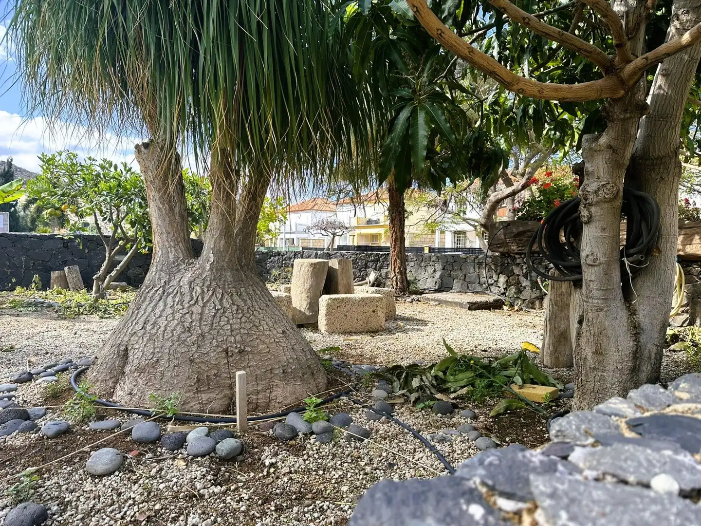 Vista exterior de Casa o xalet en venda en Adeje amb Aire condicionat, Calefacció i Jardí privat