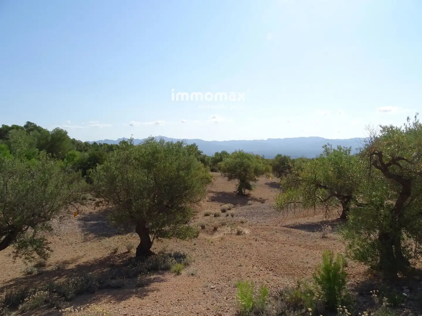 Terrain résidentiel à vendre à 13, imagen 10
