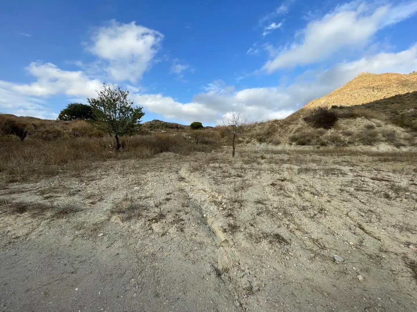 Terrenys i solars en venda a Mazarrón Casco Urbano, imagen 13
