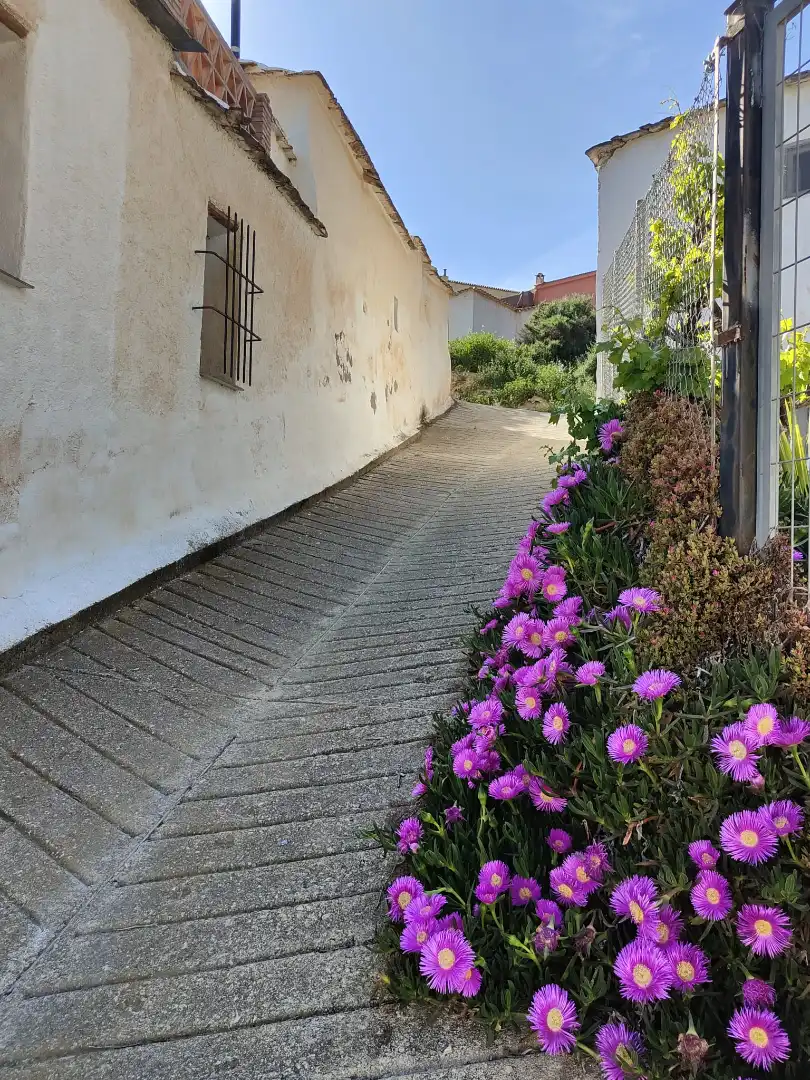 Maison avec jardin à vendre à Ugíjar