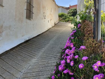 Casa con jardín en venta en Ugíjar
