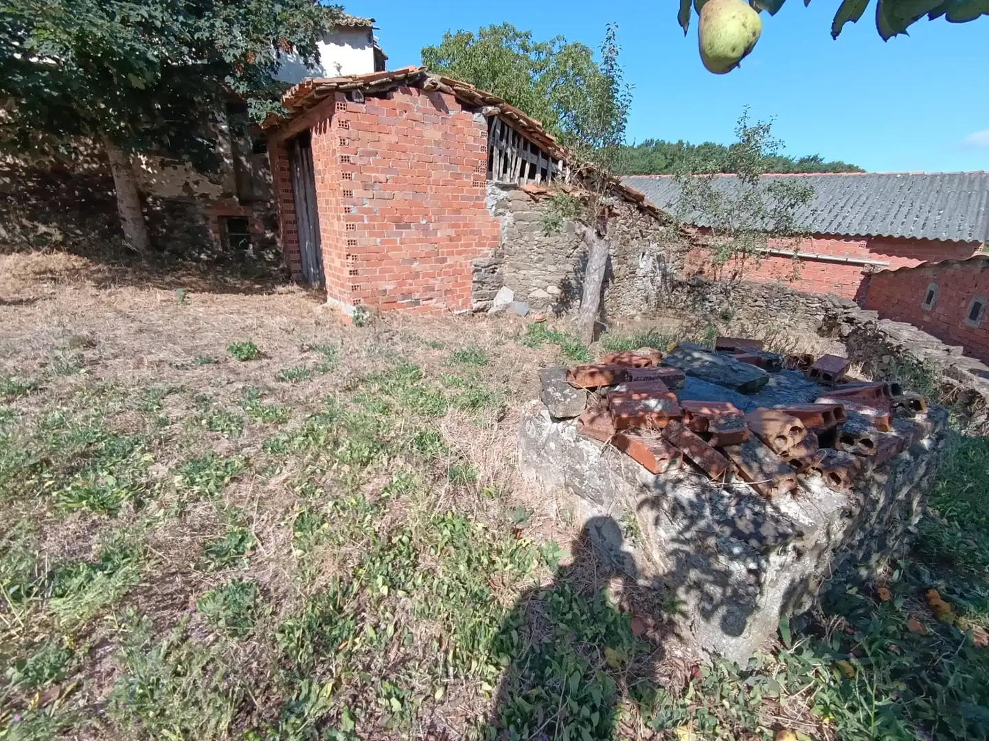 Casa o chalet en venta en O Saviñao 