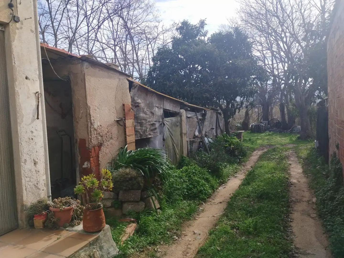 Casa o chalet en venta en Palafolls