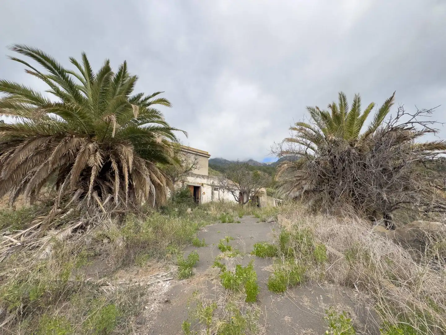 Country homes for sale in Arafo