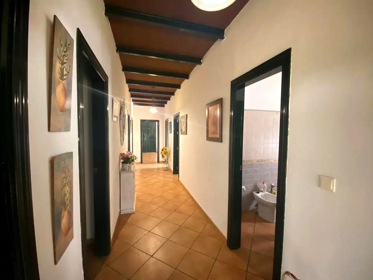 Finca rústica en venta en El Viso del Alcor