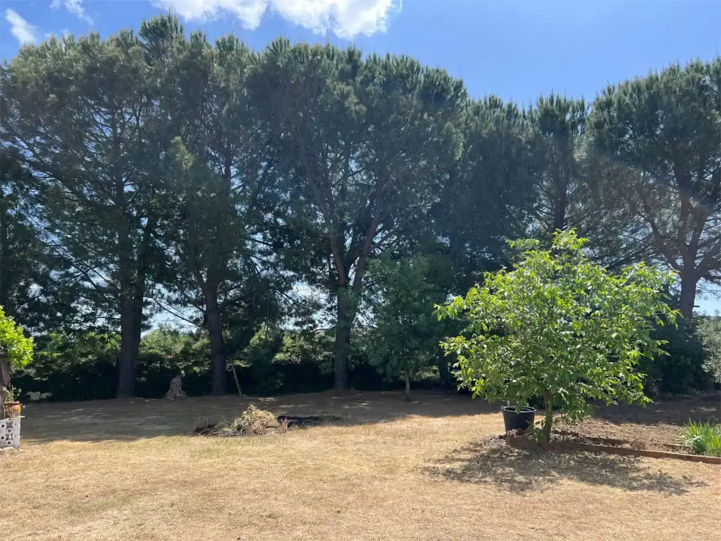 Finca rústica en venda en Santa Cruz del Retamar amb Piscina