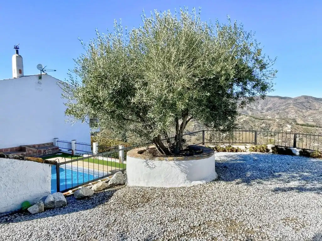 Garden of Country homes for sale in Almáchar  with Private garden, Swimming Pool and Furnished