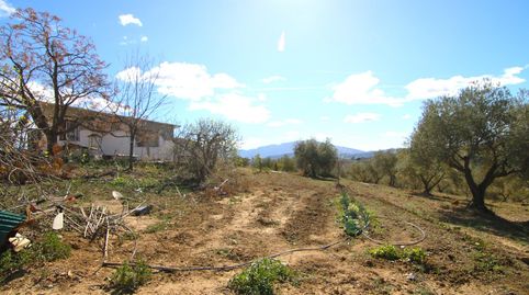 Foto 5 de Finca rústica en venta en Coín, Málaga