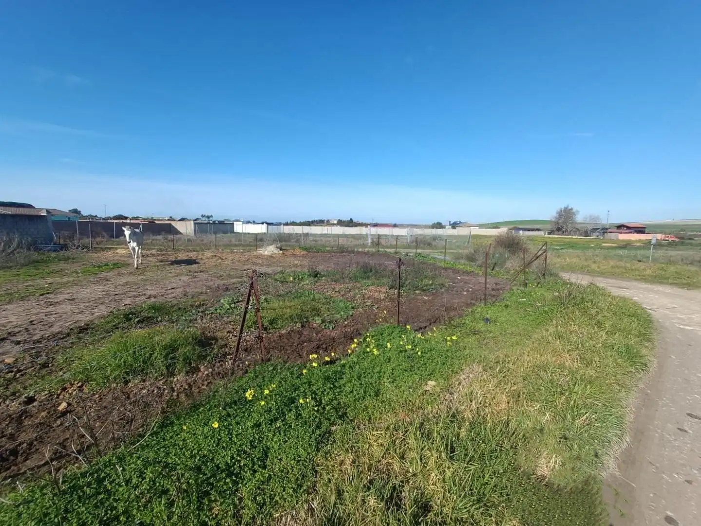 Terreny residencial en venda a Ctra Sanlúcar - Cuatro Pinos, imagen 4