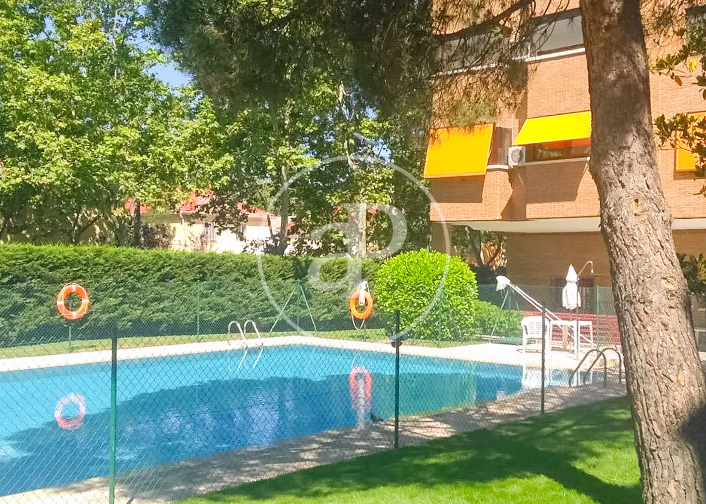 Piscina de Ático de alquiler en Madrid con Aire acondicionado, Calefacción y Jardín privado