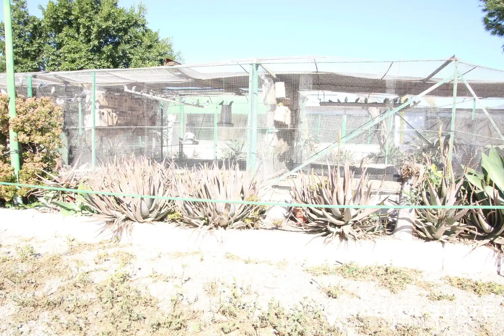 Garden of Residential for sale in Pechina