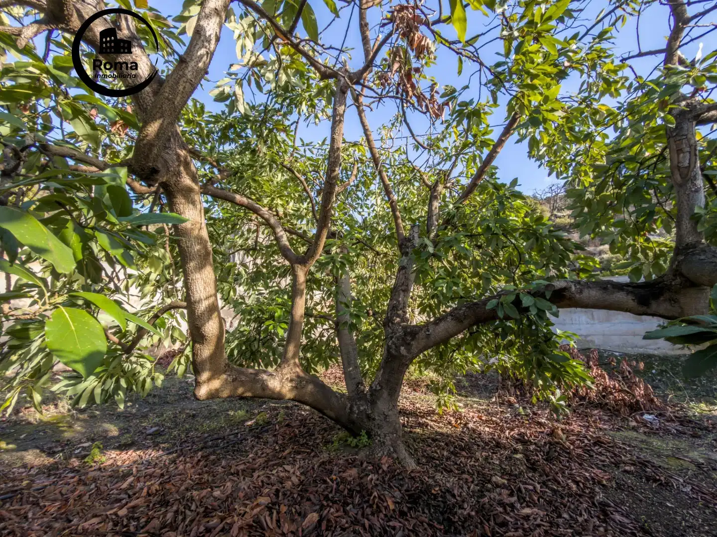 Jardí de Finca rústica en venda en Los Guájares amb Terrassa i Traster
