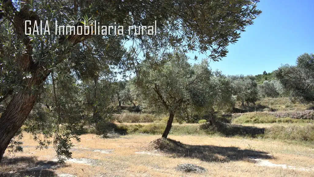 Casa rústica en venda a Maella, imagen 9