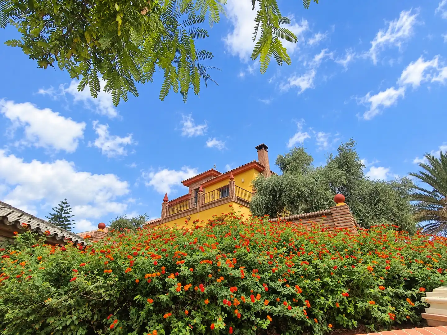 Chalet con terraza en venta en Manantiales - Lagar - Cortijo
