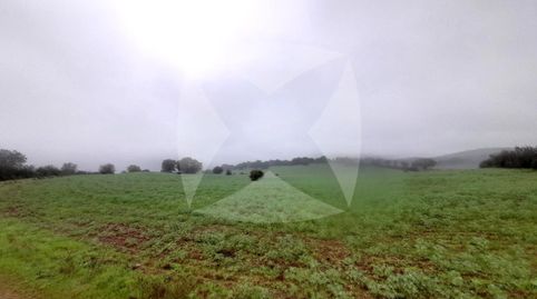 Foto 4 de Casa o chalet en venta en Diseminados Rosquillero, Alburquerque, Badajoz
